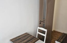 Apartament 2 camere renovat,  45 mp, parter + parcare, Avram Iancu