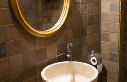 Vilă spectaculoasă de vânzare în Făget