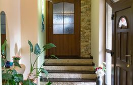 Vilă spectaculoasă de vânzare în Făget