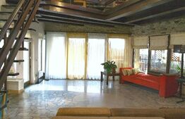 Vilă spectaculoasă de vânzare în Făget