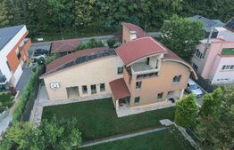 Vilă spectaculoasă de vânzare în Făget