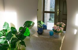 Vilă spectaculoasă de vânzare în Făget