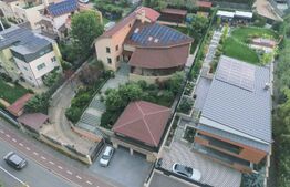 Vilă spectaculoasă de vânzare în Făget