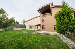 Vilă spectaculoasă de vânzare în Făget