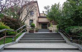 Vilă spectaculoasă de vânzare în Făget