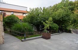 Vilă spectaculoasă de vânzare în Făget