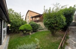 Vilă spectaculoasă de vânzare în Făget