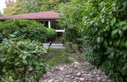 Vilă spectaculoasă de vânzare în Făget