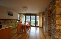 Vilă spectaculoasă de vânzare în Făget