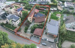 Vilă spectaculoasă de vânzare în Făget