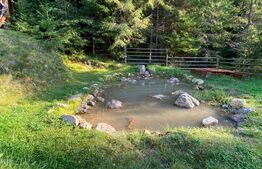 Afacere la cheie pensiune complet utilata și mobilata,energie verde, natura pura