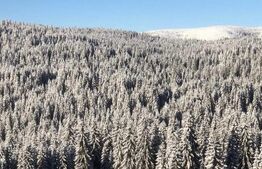 Afacere la cheie pensiune complet utilata și mobilata,energie verde, natura pura