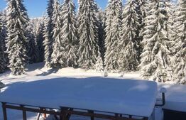 Afacere la cheie pensiune complet utilata și mobilata,energie verde, natura pura