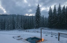 Afacere la cheie pensiune complet utilata și mobilata,energie verde, natura pura