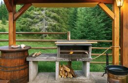 Afacere la cheie pensiune complet utilata și mobilata,energie verde, natura pura