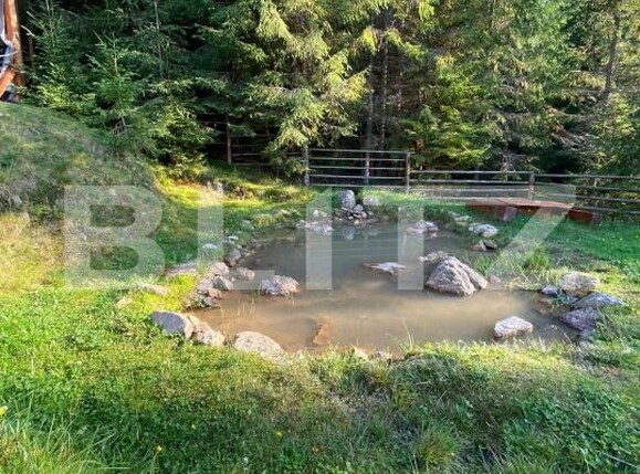 Casa de vânzare 5 camere Beliș - 177587CV | BLITZ Cluj-Napoca | Poza5