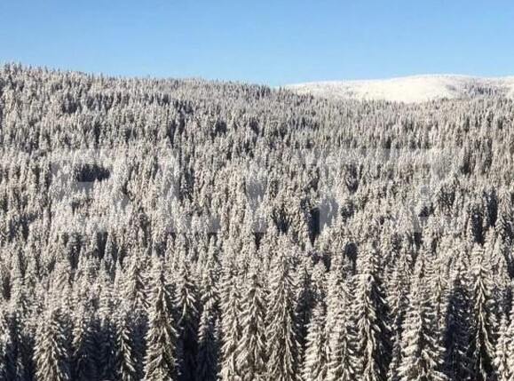 Casa de vânzare 5 camere Beliș - 177587CV | BLITZ Cluj-Napoca | Poza8