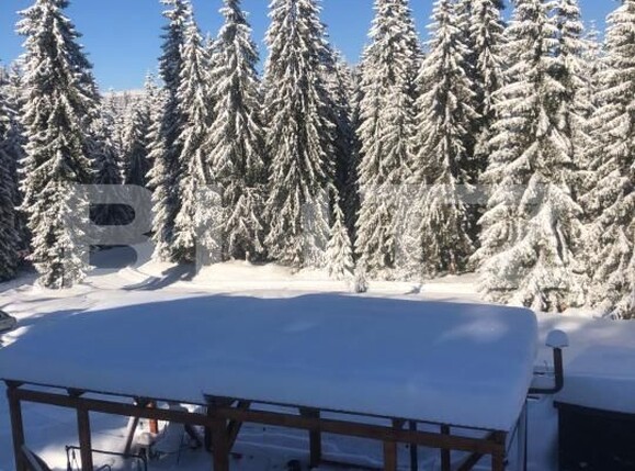 Casa de vânzare 5 camere Beliș - 177587CV | BLITZ Cluj-Napoca | Poza9