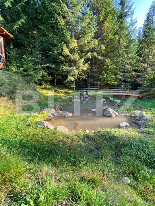 Casa de vânzare 5 camere Beliș - 177587CV | BLITZ Cluj-Napoca | Poza5