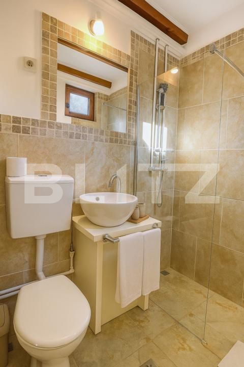 Casa de vânzare 5 camere Beliș - 177587CV | BLITZ Cluj-Napoca | Poza21