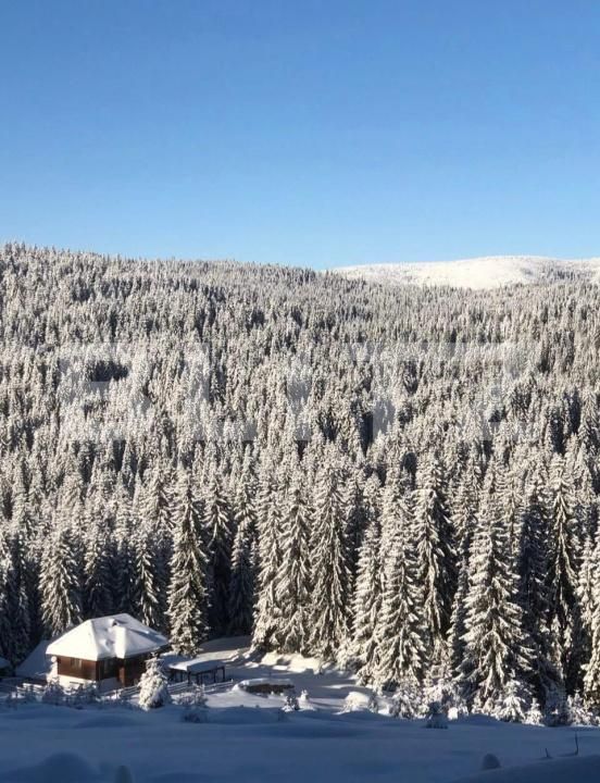 Casa de vânzare 5 camere Beliș - 177587CV | BLITZ Cluj-Napoca | Poza8