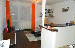 Vanzare apartament cu 1 camera, spatios si modern, Manastur