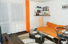 Vanzare apartament cu 1 camera, spatios si modern, Manastur