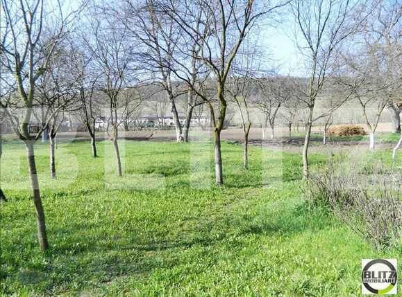 Casa de vânzare 2 camere Baciu - 17762CV | BLITZ Cluj-Napoca | Poza12