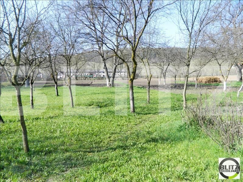 Casa de vânzare 2 camere Baciu - 17762CV | BLITZ Cluj-Napoca | Poza12