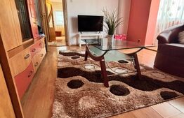 Apartament spatios, 2 camere, decomandat, 58 mp, zona Craiter