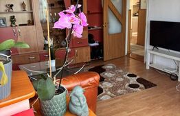 Apartament spatios, 2 camere, decomandat, 58 mp, zona Craiter