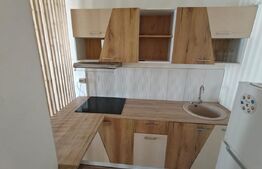 Apartament cu doua camere, mobilat, etaj 1, parcare, zona Terra