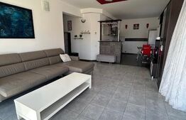 Apartament cu 2 camere, 60 mp + 60 mp terasa (penthouse) - Europa, Zorilor
