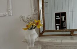 Apartament aristocratic într-o vilă interbelică – Andrei Mureșanu 