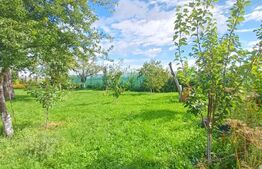 Casa individuala renovata, 3 camere, teren 1252 mp in Moldovenesti