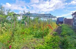 Casa individuala renovata, 3 camere, teren 1252 mp in Moldovenesti