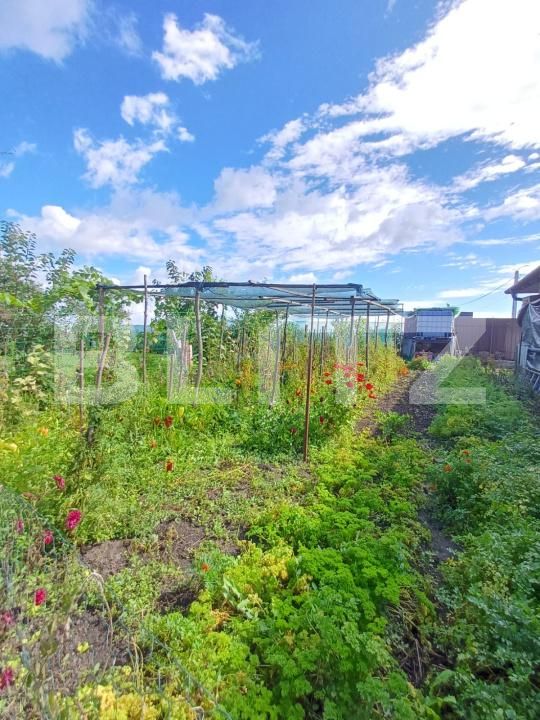 Casa de vânzare 3 camere Moldovenesti - 177715CV | BLITZ Cluj-Napoca | Poza25