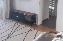 Apartament luminos cu 2 camere, decomandat, in zona Coresi Mall, Tractorul