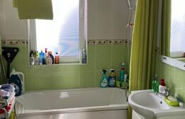 Apartament semidecomandat cu gradina 40 mp, zona Eroilor