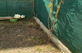 Apartament semidecomandat cu gradina 40 mp, zona Eroilor