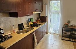 Apartament semidecomandat cu gradina 40 mp, zona Eroilor