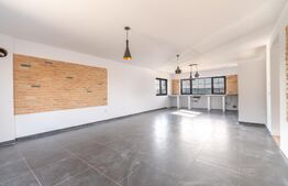 Casa de vanzare, Jucu de Sus, Luminis, 118mp, Finisata Utilata