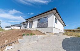 Casa de vanzare, Jucu de Sus, Luminis, 118mp, Finisata Utilata