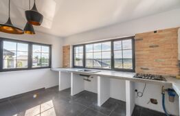 Casa de vanzare, Jucu de Sus, Luminis, 118mp, Finisata Utilata