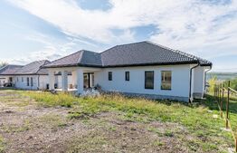 Casa de vanzare, Jucu de Sus, Luminis, 118mp, Finisata Utilata