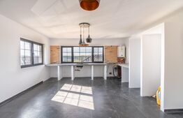 Casa de vanzare, Jucu de Sus, Luminis, 118mp, Finisata Utilata