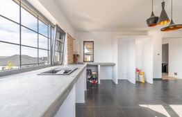 Casa de vanzare, Jucu de Sus, Luminis, 118mp, Finisata Utilata