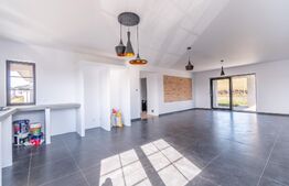 Casa de vanzare, Jucu de Sus, Luminis, 118mp, Finisata Utilata