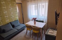 Apartament de 3 camere, cu terasa si parcare, zona Muzeul Apei