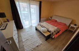 Apartament de 3 camere, cu terasa si parcare, zona Muzeul Apei